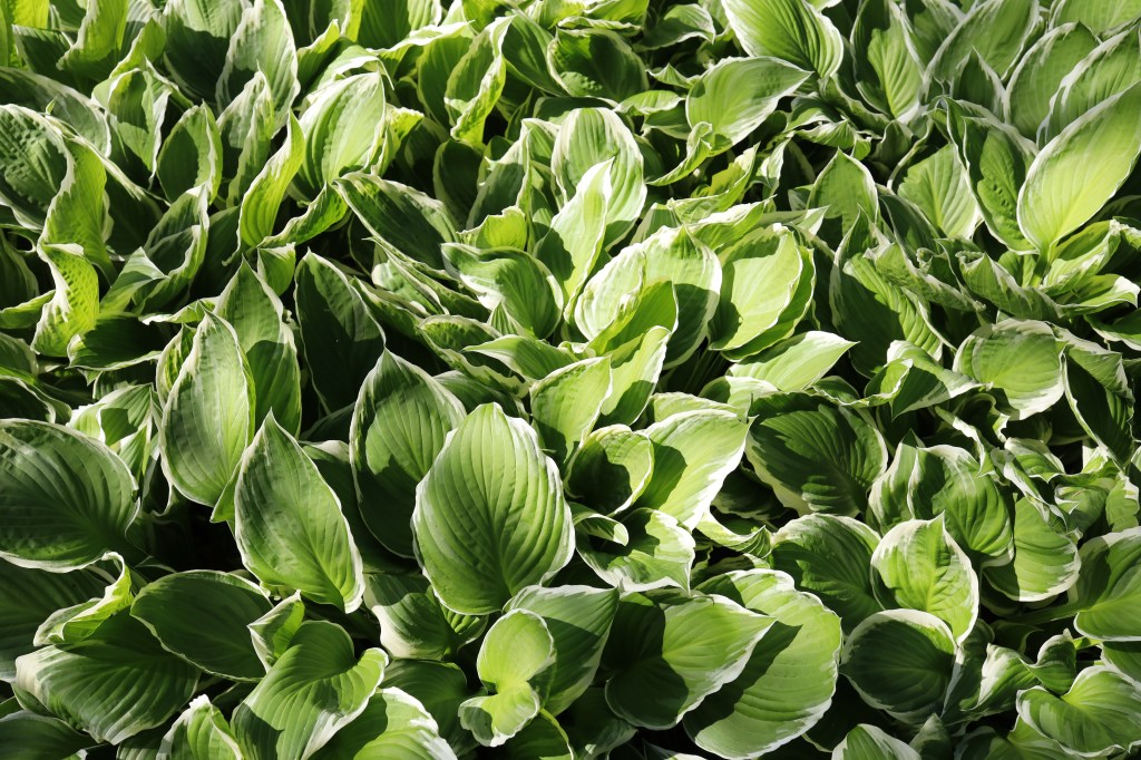 Lesen als queere&nbsp;Praxis?